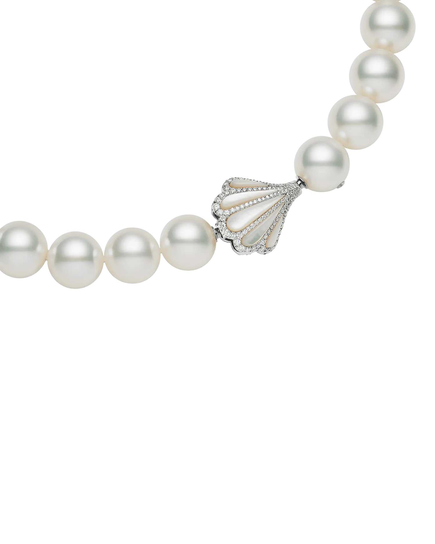 Clam Shell Diamond Clasp | Mother of Pearl, Diamonds, and White Gold