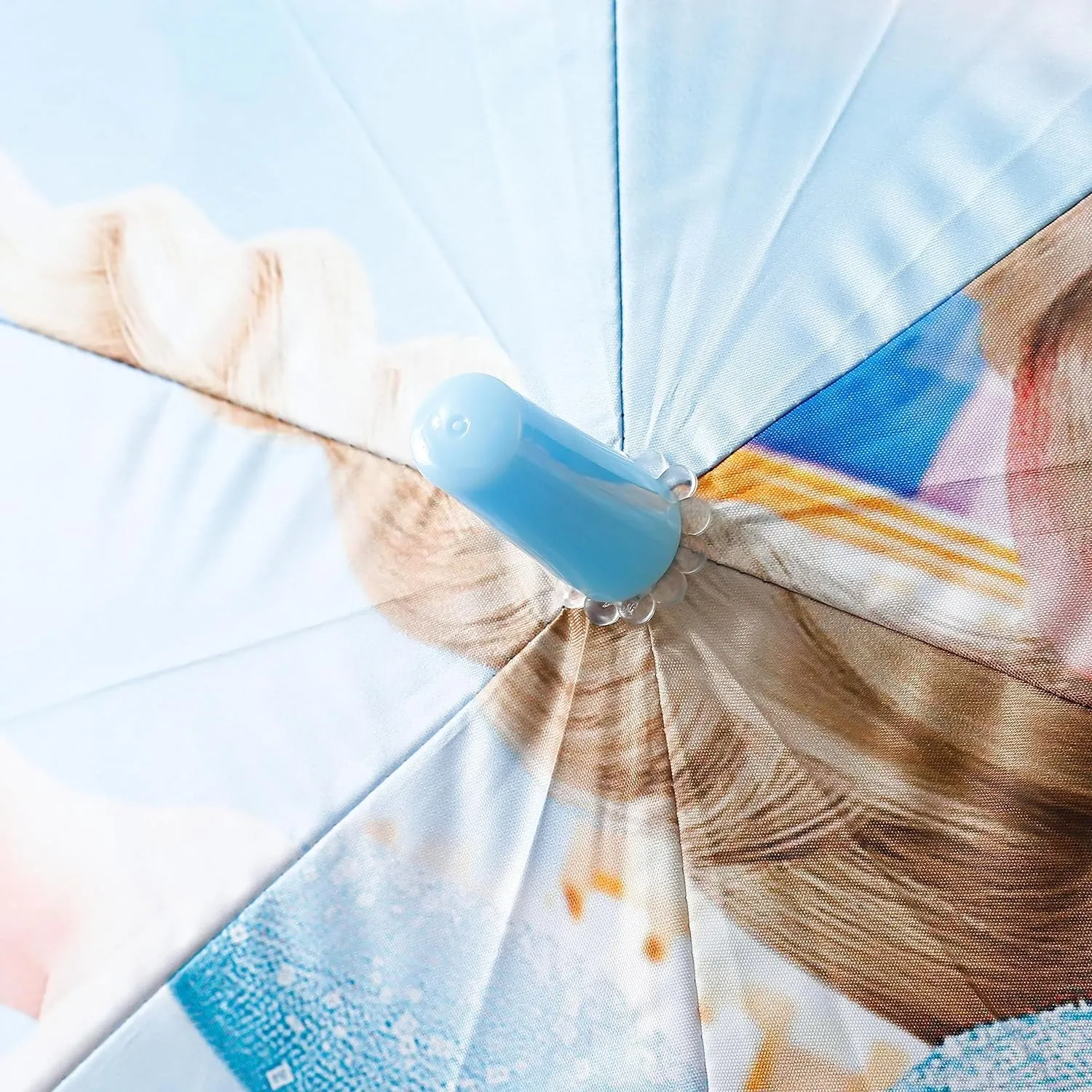 Kuber Industries Disney Frozen Print Umbrella For Kids|Automatic Umbrella For Rain-Pack of 6 (Sky Blue)