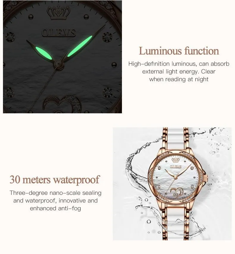 Luxury Waterproof Automatic Mechanical Gold Plated Watch