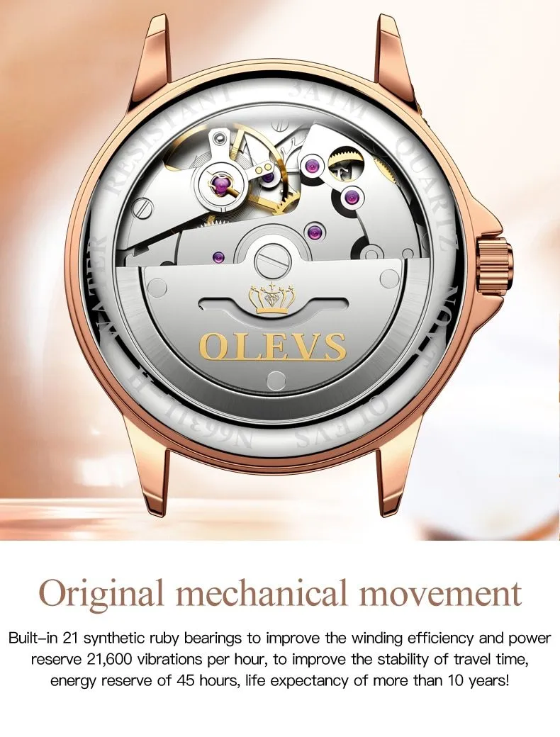 Luxury Waterproof Automatic Mechanical Gold Plated Watch