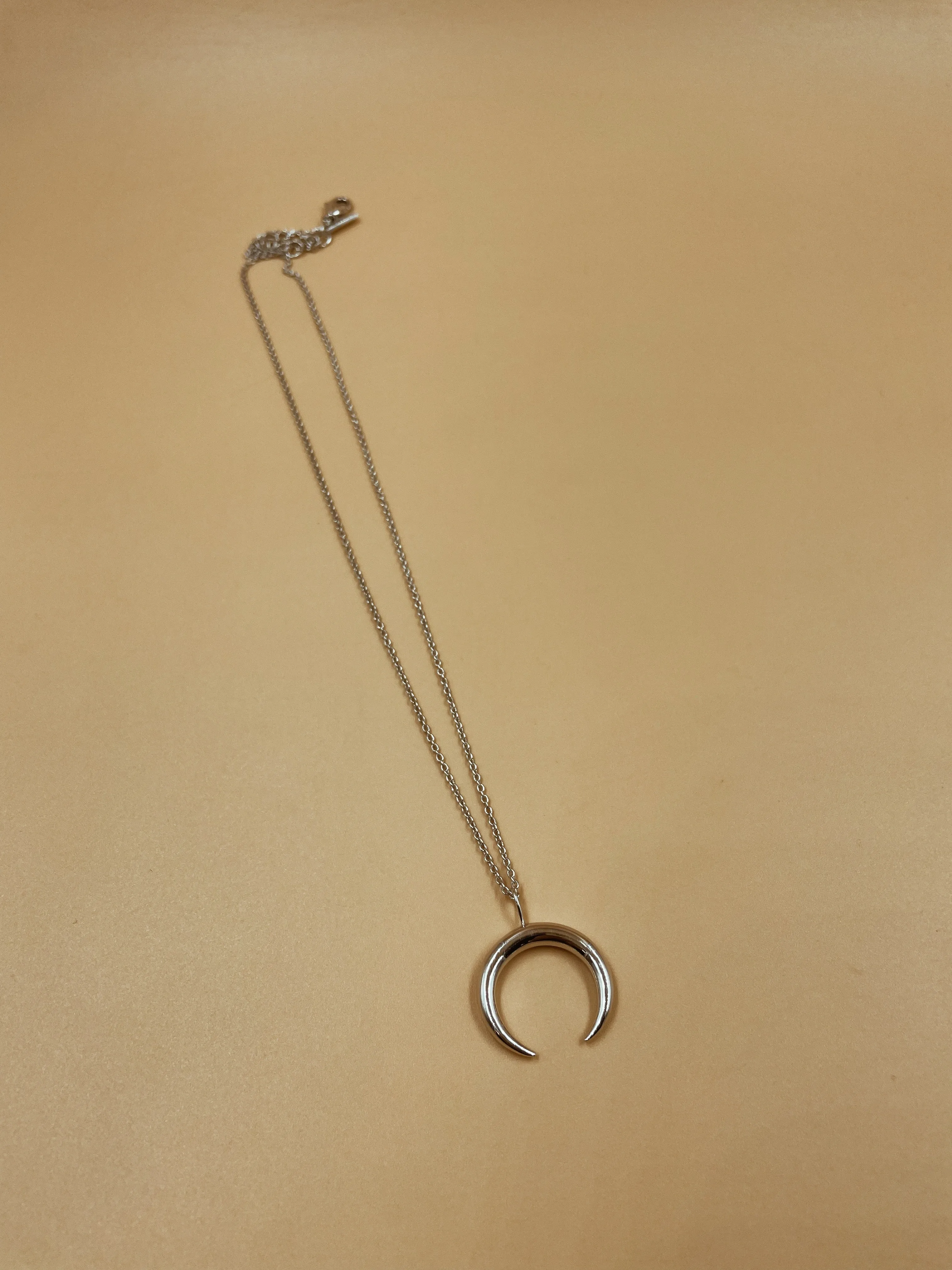 Sterling Silver Horn Necklace in Silver Tone